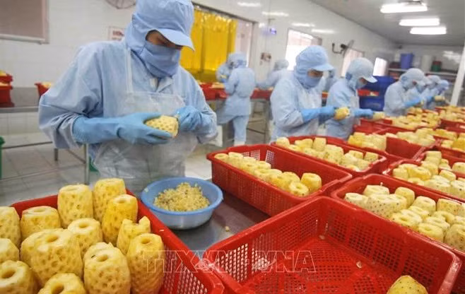 Vietnam y Japón amplían su cooperación a cadenas de cultivos seguros ảnh 1
