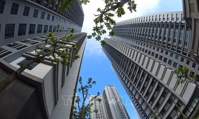 Tasa de urbanización de Vietnam alcanza 41 por ciento ảnh 1