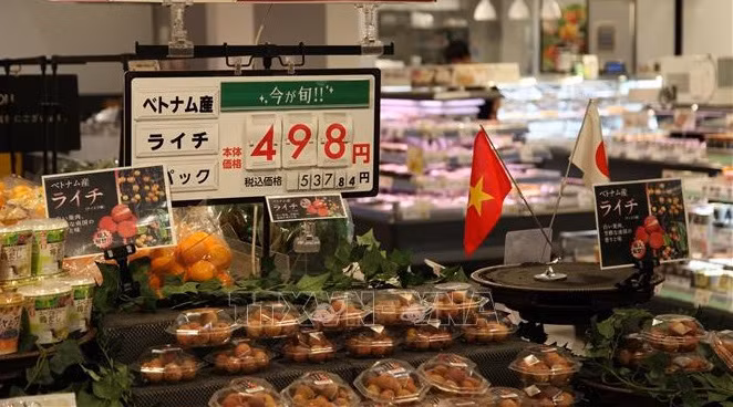 Debaten medidas para promover exportaciones agrícolas de Vietnam a mercado internacional ảnh 1