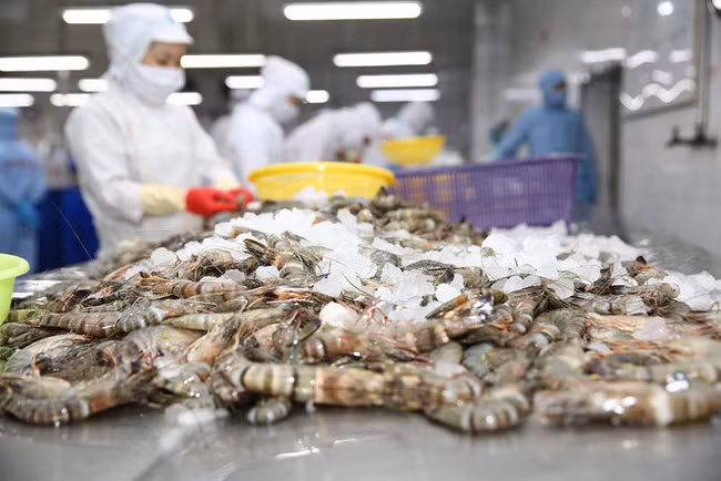 Provincia vietnamita experimenta incremento en ingreso por exportaciones ảnh 1