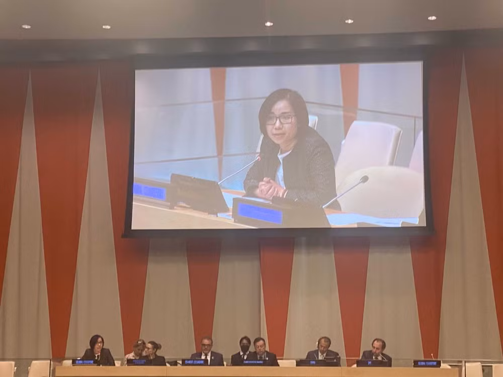 Vietnam reitera apoyo al llamado de cese al fuego de secretario general de ONU ảnh 1