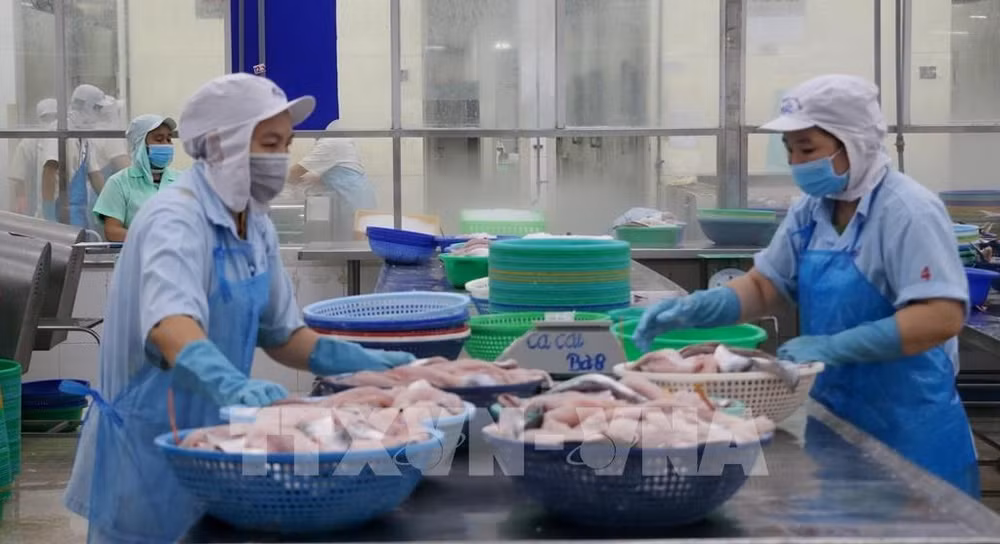 Exportaciones acuícolas de Vietnam a China aumentan 117,6 por ciento en primer cuatrimestre ảnh 1
