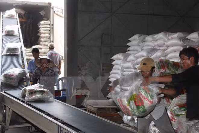 Alcanza exportación de arroz vietnamita un abrupto aumento en volumen ảnh 1