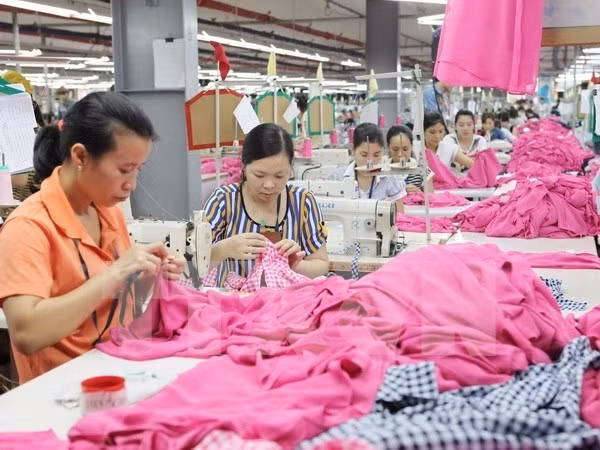 OIT dispuesta a apoyar a Vietnam para afinar regulaciones laborales ảnh 1