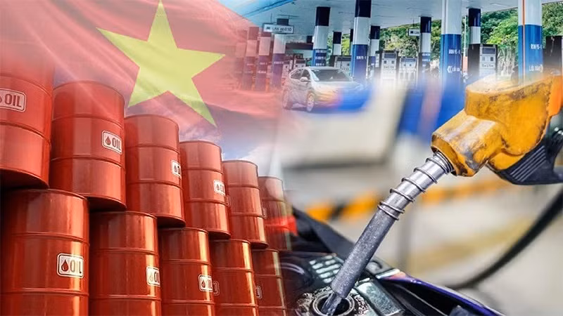 Industria de petróleo y gas de Vietnam enfrenta una oportunidad de transformación ảnh 2