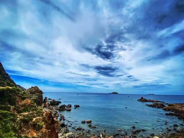 Inversores extranjeros exponen interés en energía eólica marina en Vietnam ảnh 1