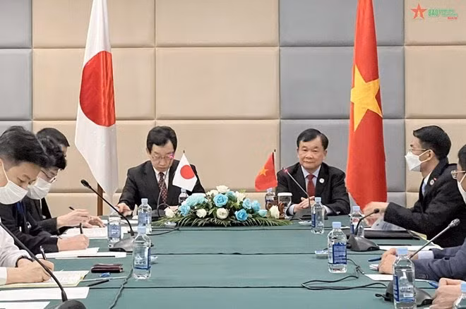 Efectúan reunión bilateral de viceministros de Defensa de Vietnam y Japón ảnh 1
