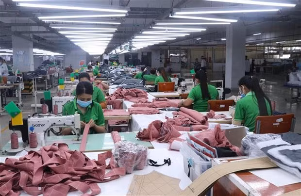 Inversión extrajera directa fluye hacia zona económica clave del sur de Vietnam ảnh 2