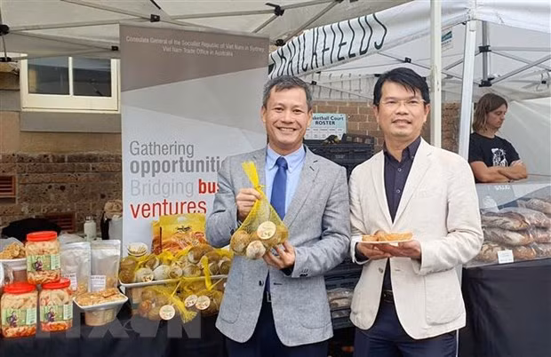 Buscan promover chicozapote congelado vietnamita a Australia ảnh 1