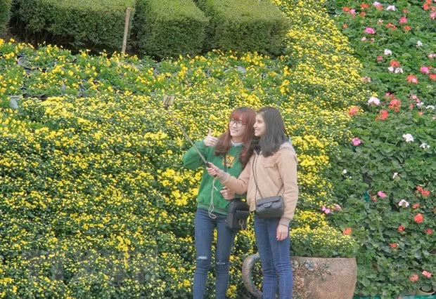 Festival de flores Da Lat 2022 tendrá lugar en noviembre ảnh 1