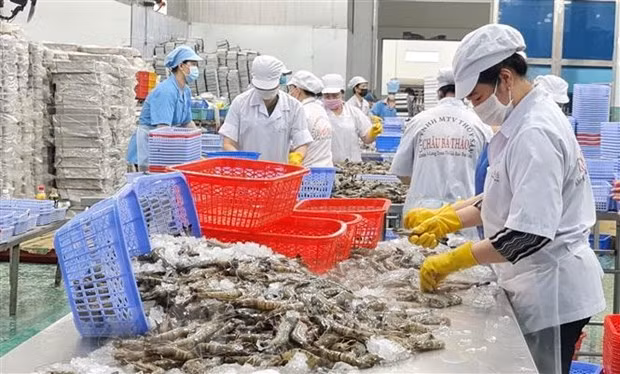 Califican a Sudáfrica mercado potencial para productos acuáticos de Vietnam ảnh 1