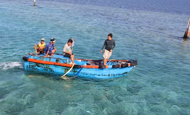 Exhortan a combatir pesca ilegal con medidas drásticas en Vietnam ảnh 2