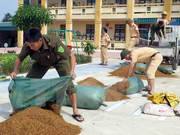Premier de Vietnam urge donación para pobladores afectados por inundaciones ảnh 1