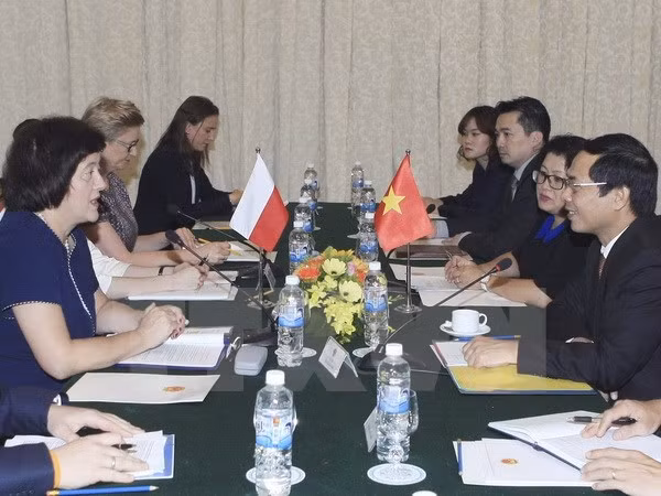 Vietnam y Polonia realizan consulta política ảnh 1