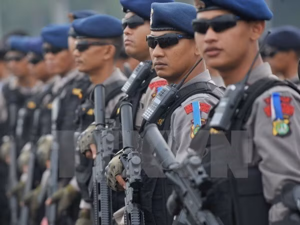 Singapur e Indonesia mejoran cooperación de seguridad transnacional ảnh 1