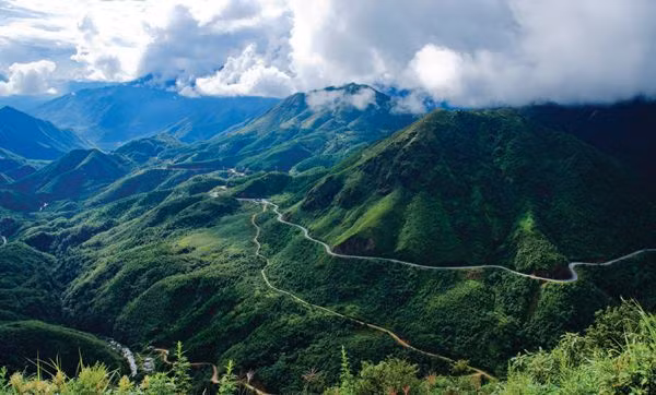 USAID apoya a provincia vietnamita en conservación de biodiversidad forestal ảnh 2