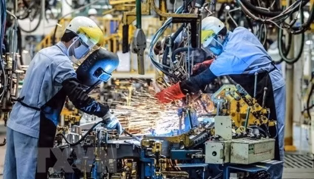 Empresas europeas optimistas sobre entorno de negocios en Vietnam en “nueva normalidad” ảnh 1 Empresas europeas optimistas sobre entorno de negocios en Vietnam en “nueva normalidad” ảnh 1