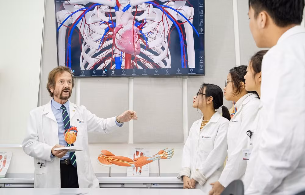 Aceleran en Vietnam proyecto de centro internacional de formación a enfermeros y auxiliares ảnh 1