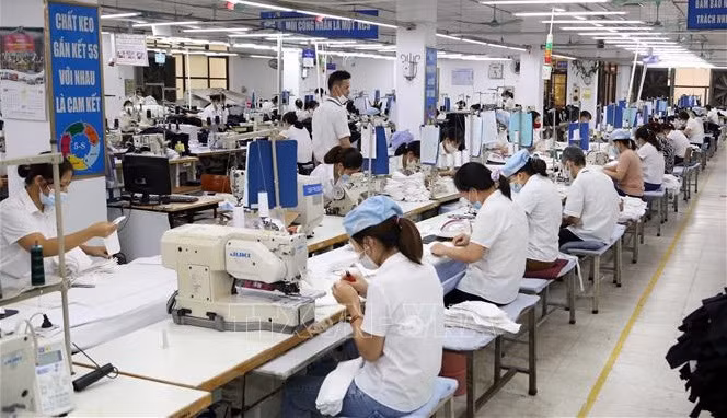Expertos nacionales y extranjeros creen en futuro de economía vietnamita ảnh 1
