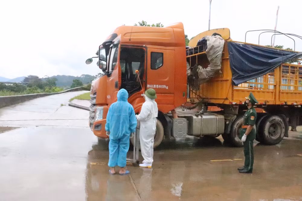 Provincia vietnamita garantiza control pandémico en actividades comerciales ảnh 2