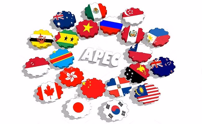 Espera Vietnam consolidación del papel de APEC en conexión económica ảnh 2