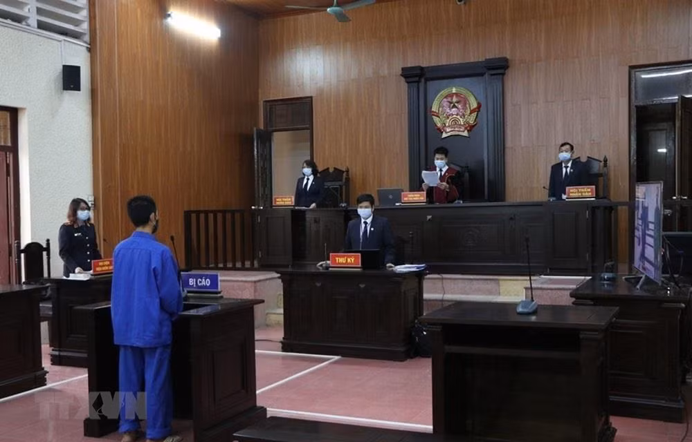 Tribunales Populares de Vietnam podrán efectuar juicios en línea desde 2022 ảnh 1