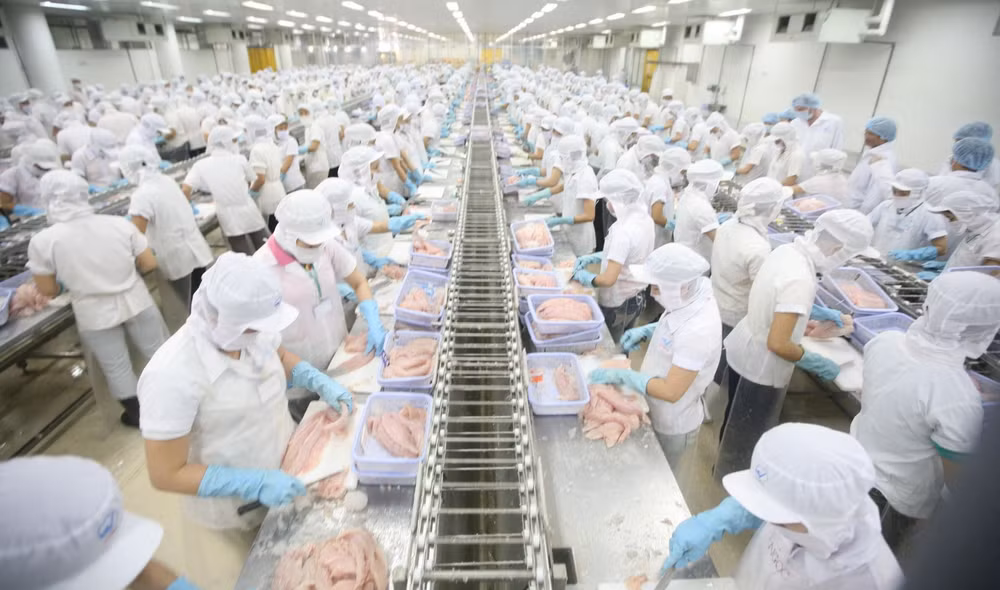 Vietnam-Noruega: Perspectivas de cooperación comercial en nueva situación ảnh 1