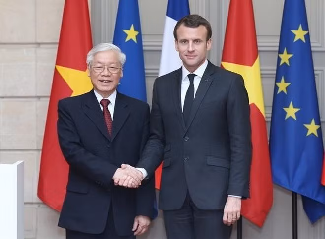 Enaltecen desarrollo incesante de nexos entre Vietnam y Francia ảnh 1