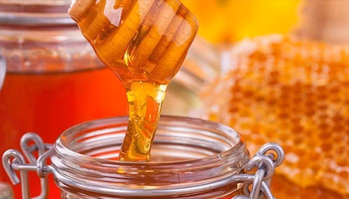 Vietnam por garantizar estabilidad de exportaciones de miel a Estados Unidos ảnh 1