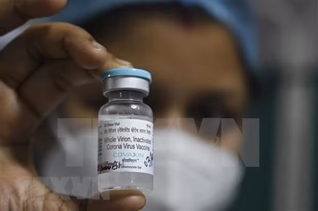 Vietnam aprueba con condiciones la vacuna india Covaxin contra COVID-19 ảnh 1