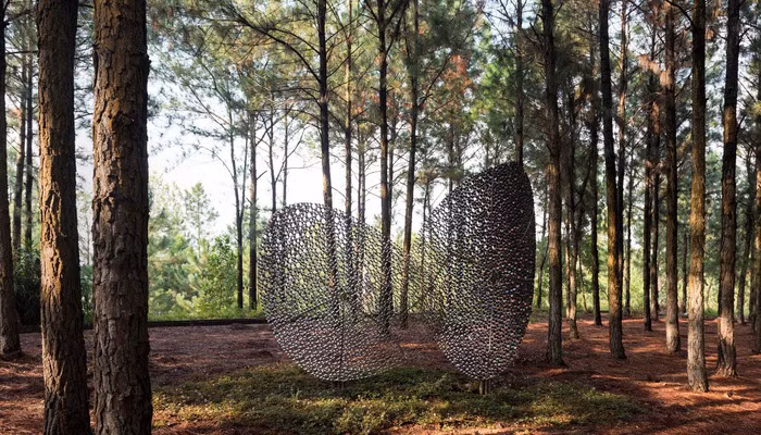 Resaltan artistas extranjeros en Vinh Phuc la armonía entre la naturaleza y los seres humanos ảnh 1