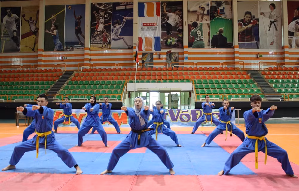 Nutrida participación en Festival Internacional Inter-club de Vovinam en Egipto ảnh 1