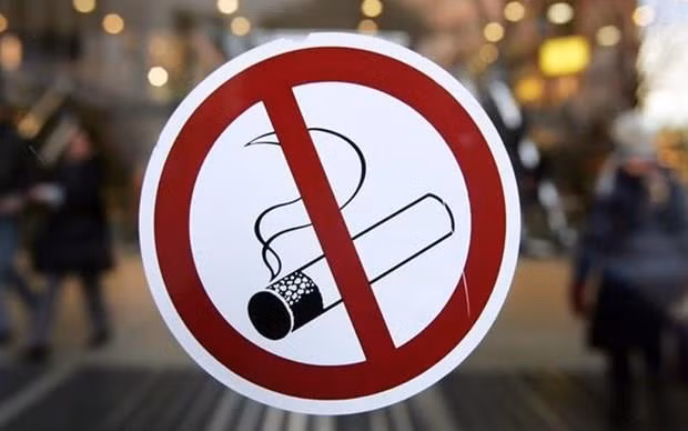 Valoran en Malasia prohibición de uso de cigarrillos electrónicos ảnh 1