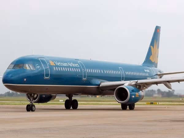 Inaugura Vietnam Airlines ruta a polo turístico de Indonesia ảnh 1