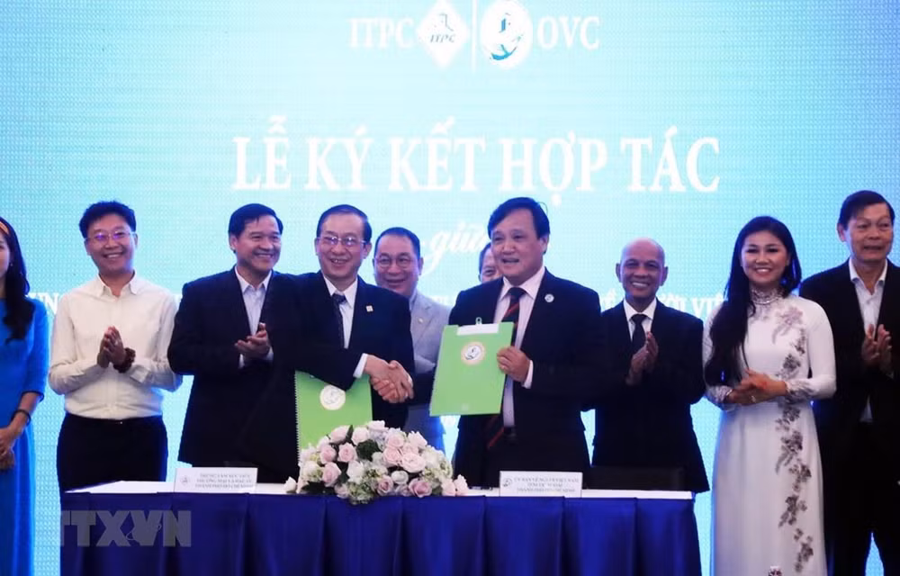 Fortalecen conectividad entre empresarios vietnamitas dentro y fuera del país ảnh 1