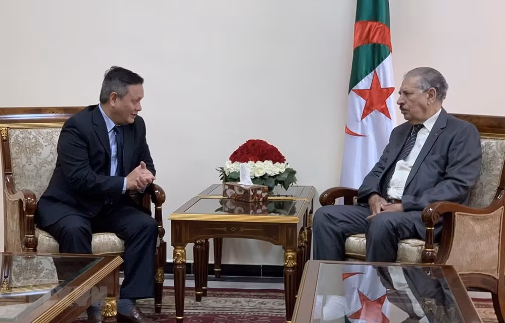 Patentizan en Argelia compromiso de fomentar cooperación multifacética con Vietnam ảnh 1