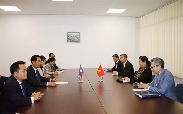 Impulsan nexos entre Parlamentos de Vietnam y Laos ảnh 1