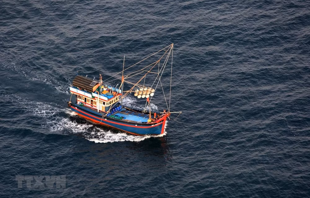 Vietnam avanza en cumplimiento de recomendaciones de Comisión Europea sobre lucha contra IUU ảnh 1