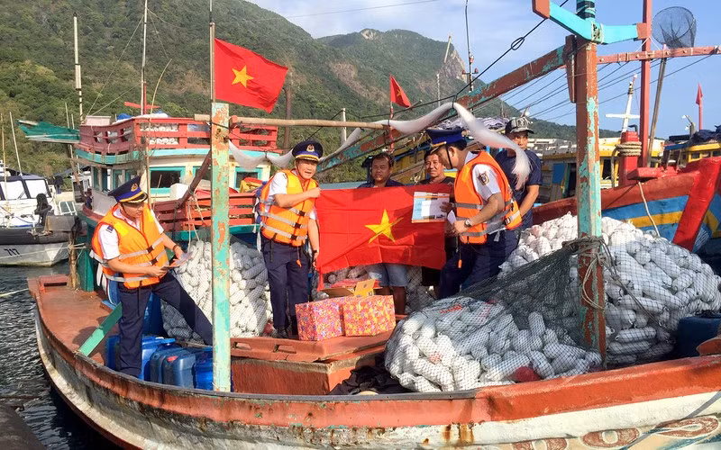 Vietnam activo en lucha contra la pesca ilegal ảnh 1