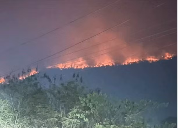 Incendios forestales y contaminación del aire alcanzan nivel de peligro en Laos ảnh 1