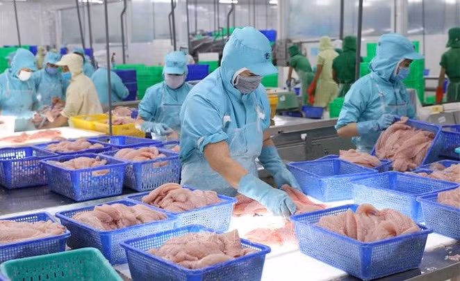 Exportaciones de pescado Tra de Vietnam se recuperarán en tercer trimestre 2023 ảnh 1