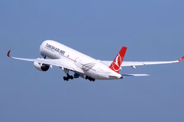 Indonesia y Turquía promueven desarrollo turístico ảnh 1