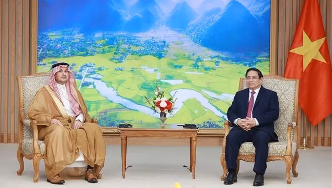 Patentiza Vietnam deseo de fomentar cooperación con Arabia Saudita ảnh 1