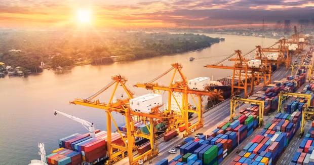 Productos agrícolas de Vietnam buscan acceso sostenible al mercado chino ảnh 1