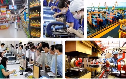 Cantidad de empresas nuevas establecidas en Vietnam disminuye 18,3 por ciento ảnh 1