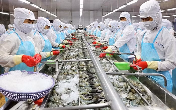 Producción acuática de Vietnam alcanza 1,18 millones de toneladas ảnh 1