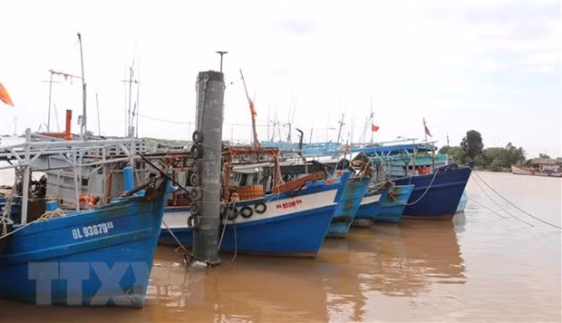 Provincia survietnamita de Kien Giang impulsa lucha contra pesca ilegal ảnh 1