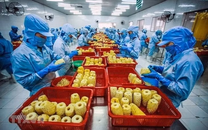 Fuerte aumento de las exportaciones vietnamitas a Estados Unidos en febrero de 2023 ảnh 1