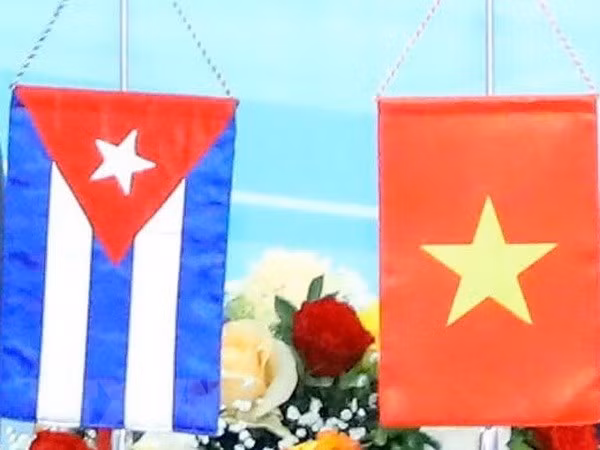 Celebran en Argentina encuentro amistoso Vietnam-Cuba ảnh 1