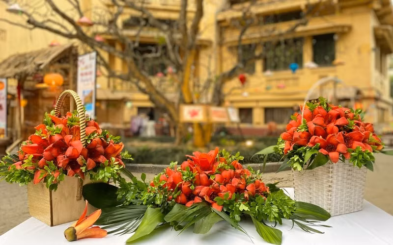 Invitan a explorar museo vietnamita en temporada de algodoneros rojos ảnh 1